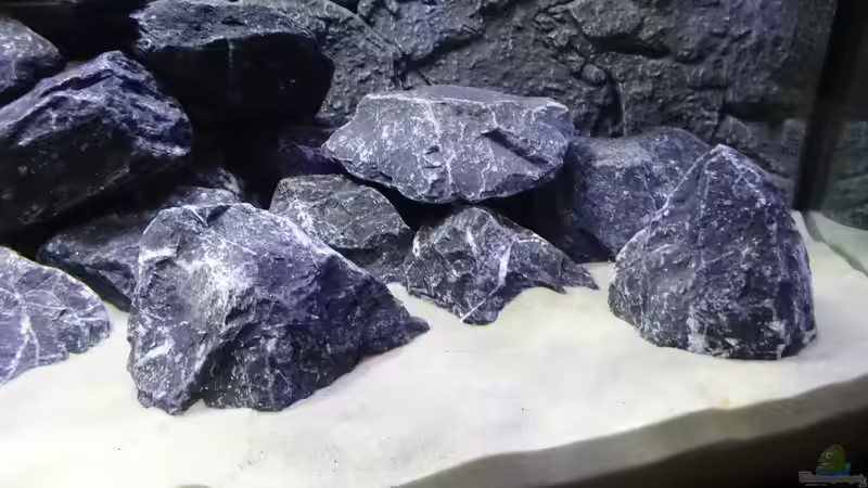 Dekoration im Aquarium Malawi Mbuna von Max V. (8)