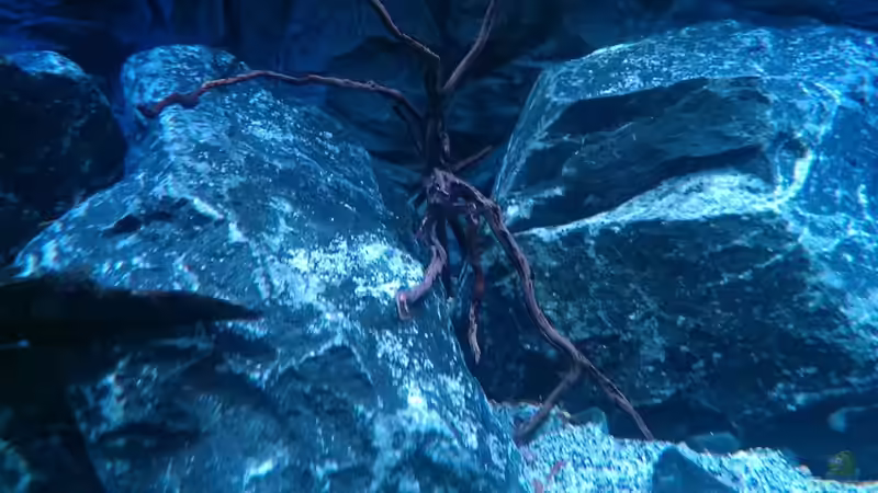 Dekoration im Aquarium Malawi Nonmbunas von Ella Tinkerbella (8)