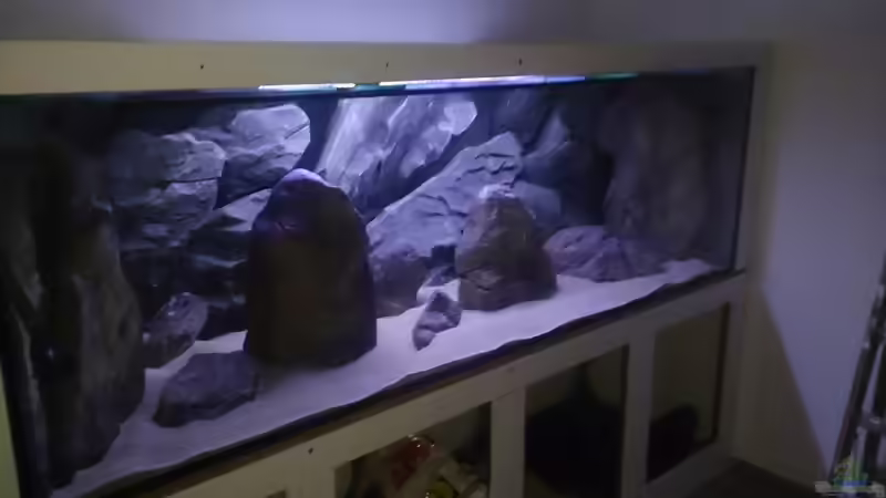 Dekoration im Aquarium Malawi Pfütze von Warsteiner (11)