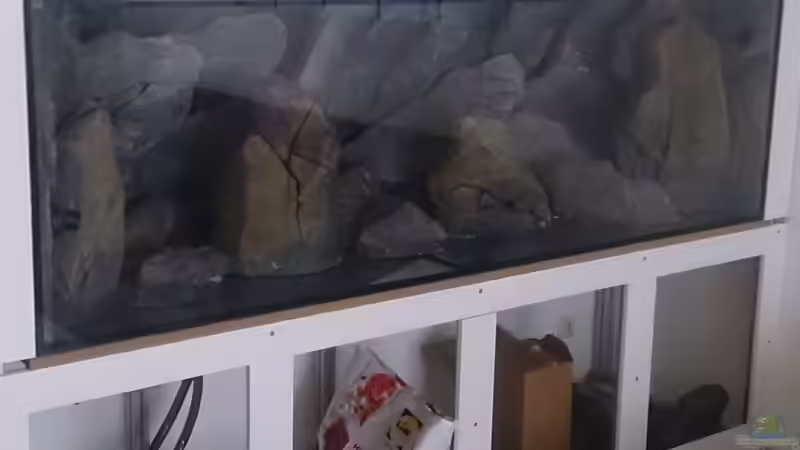 Dekoration im Aquarium Malawi Pfütze von Warsteiner (12)