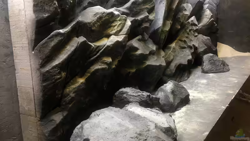 Dekoration im Aquarium Malawi Pfütze von Warsteiner (5)