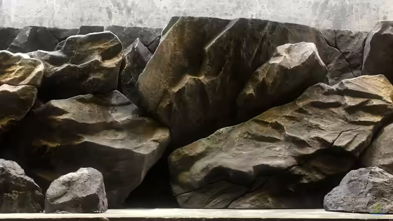 Dekoration im Aquarium Malawi Pfütze von Warsteiner (6)