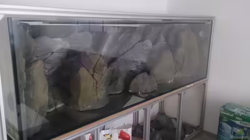Dekoration im Aquarium Malawi Pfütze von Warsteiner (8)