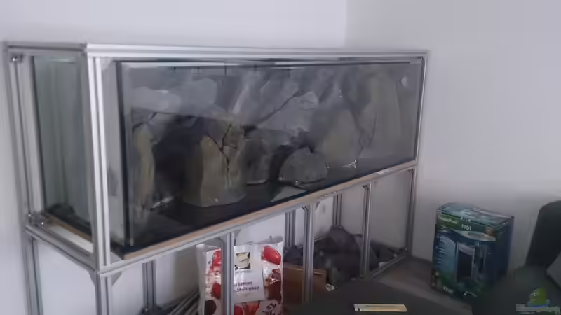 Dekoration im Aquarium Malawi Pfütze von Warsteiner (9)