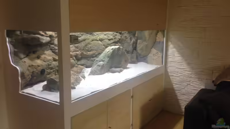 Dekoration im Aquarium Malawi Räuber von Wimmer Jürgen (10)