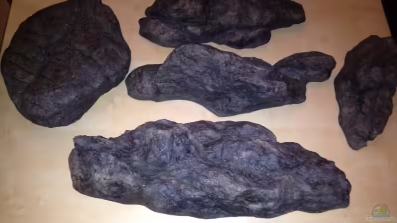 Dekoration im Aquarium Malawi Reef von Tobias Sch. (37)