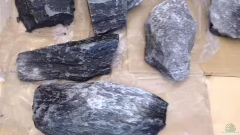 Dekoration im Aquarium Malawi Reef von Tobias Sch. (43)