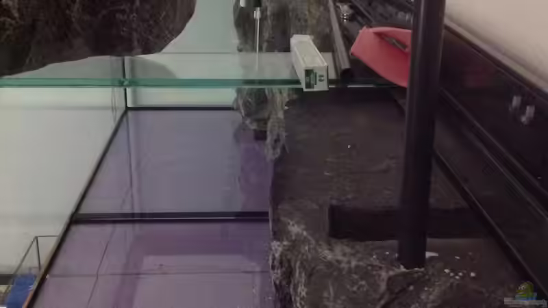 Dekoration im Aquarium Malawi Reef von Tobias Sch. (44)