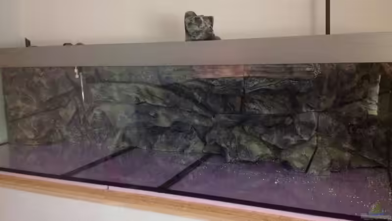 Dekoration im Aquarium Malawi Reef von Tobias Sch. (45)