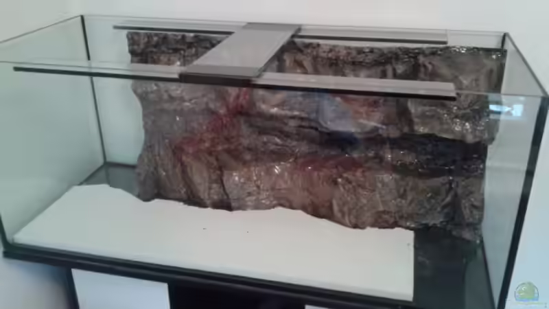 Dekoration im Aquarium Malawi Sun Rise von FunkyTraut (9)