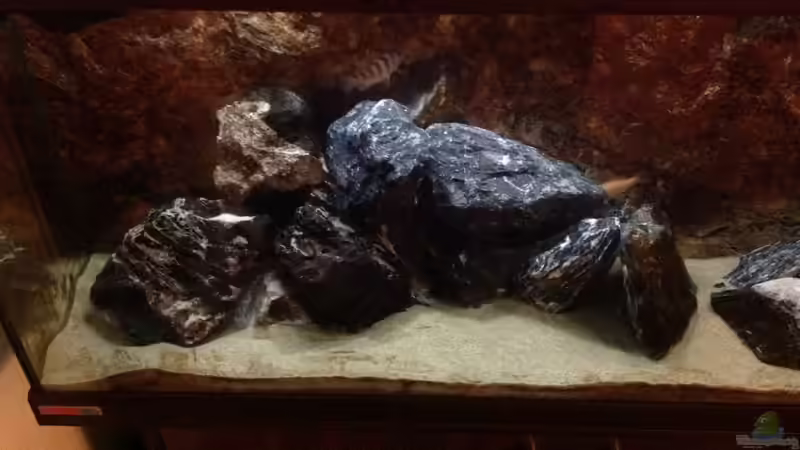 Dekoration im Aquarium Malawi von Aquaflo (9)