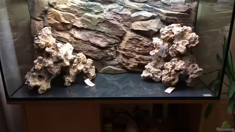 Dekoration im Aquarium Malawi von Gsigold (6)