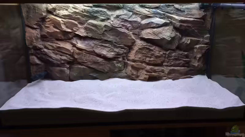 Dekoration im Aquarium Malawi von Gsigold (7)