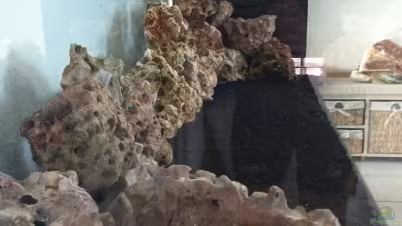 Dekoration im Aquarium Malawi Welt von BAD666 (13)