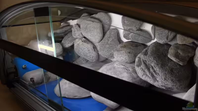 Dekoration im Aquarium Malawibecken von Borg (14)