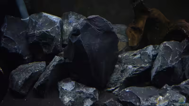 Dekoration im Aquarium Malawibottich von Bowa (16)