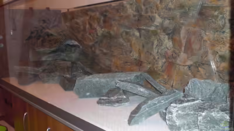 Dekoration im Aquarium Malawitank von pennywise (14)