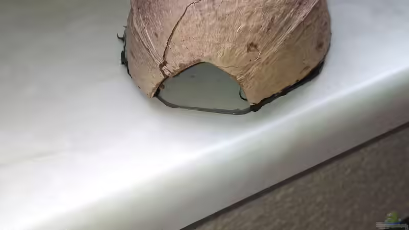 Dekoration im Aquarium Marco&#039;s Schieferbruch von AdrianSoS (41)