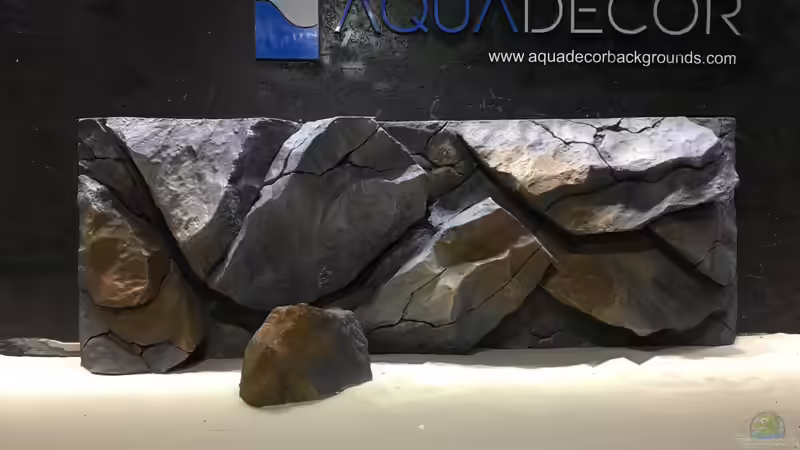 Dekoration im Aquarium Mbuna Becken (Einlaufphase) von Jan83 (7)