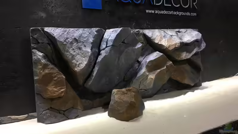 Dekoration im Aquarium Mbuna Becken (Einlaufphase) von Jan83 (8)