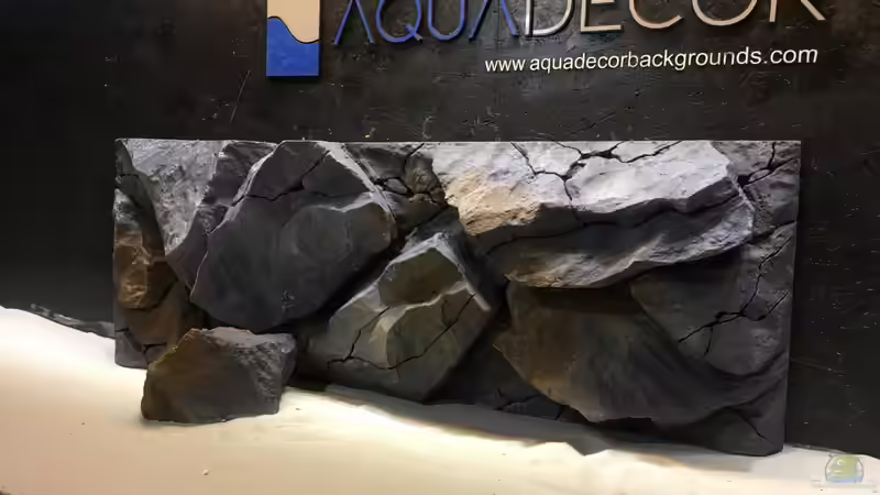 Dekoration im Aquarium Mbuna Becken (Einlaufphase) von Jan83 (9)