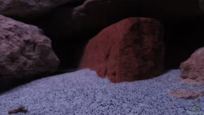 Dekoration im Aquarium Mbuna Felsen von aquamika (12)