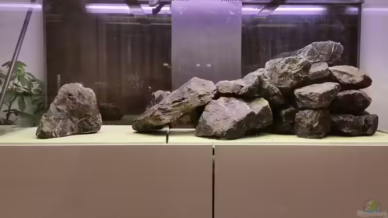 Dekoration im Aquarium Mbuna reef von Mbuna_Memo (11)