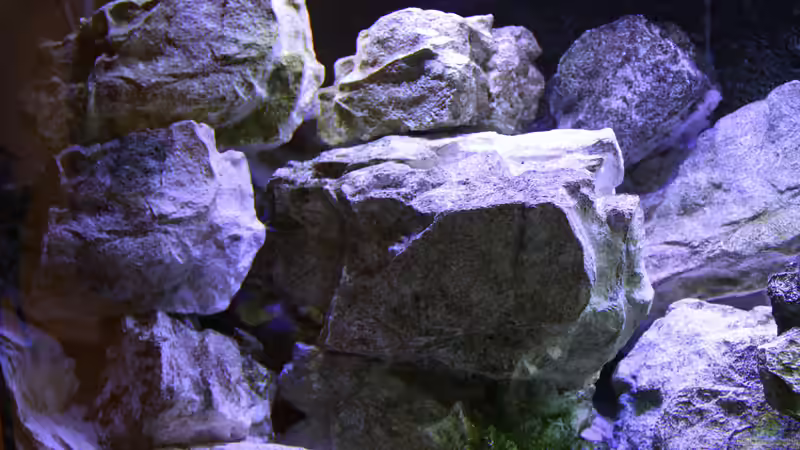 Dekoration im Aquarium Mbunas Traum von Dirkan (2)