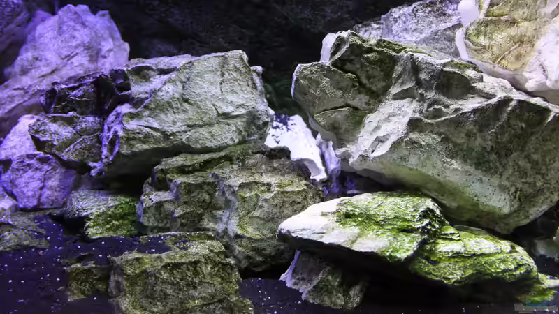 Dekoration im Aquarium Mbunas Traum von Dirkan (3)