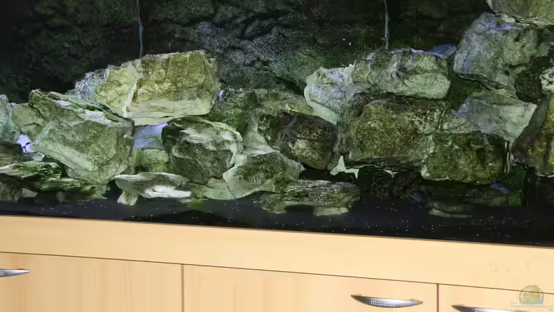 Dekoration im Aquarium Mbunas Traum von Dirkan (7)