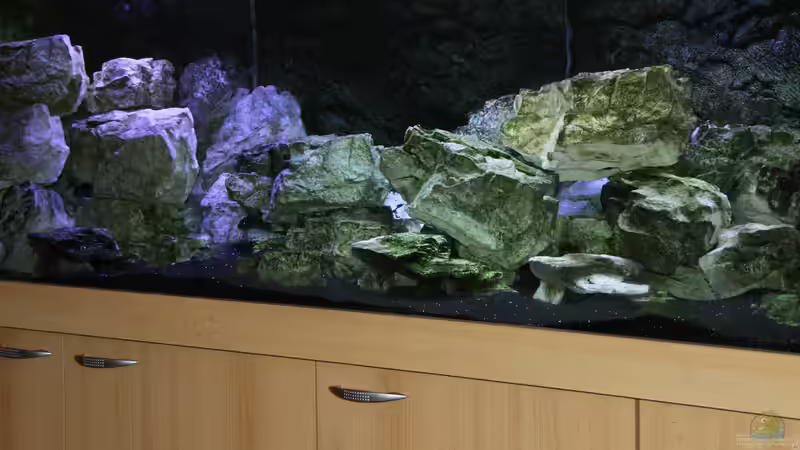 Dekoration im Aquarium Mbunas Traum von Dirkan (8)