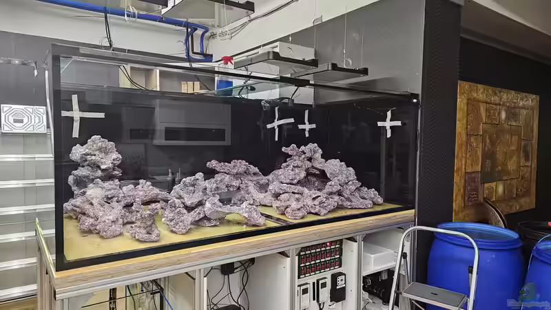 Dekoration im Aquarium Meerwasser von Kirschi (4)