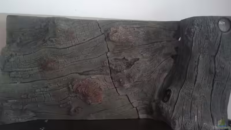 Dekoration im Aquarium Mein Rio Tapajos von Goldi 1977 (2)