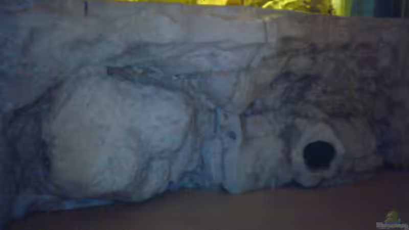 Dekoration im Aquarium Mein Tanganjika (nur noch als Beispiel) von stonis-home (16)