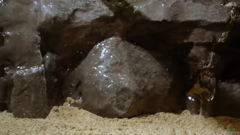 Dekoration im Aquarium Mein Tanganjika (nur noch als Beispiel) von stonis-home (19)