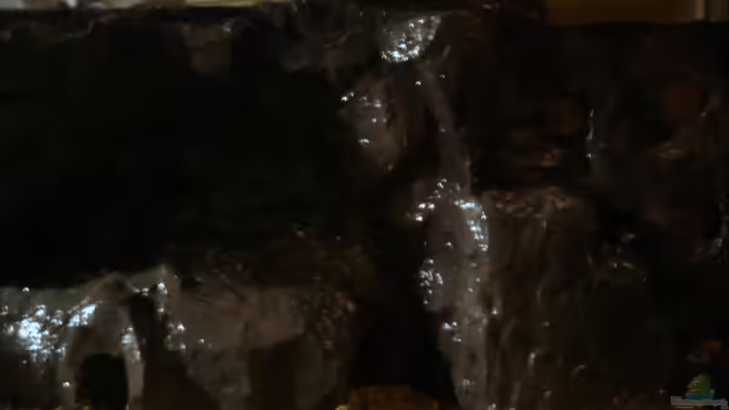 Dekoration im Aquarium Mein Tanganjika (nur noch als Beispiel) von stonis-home (20)