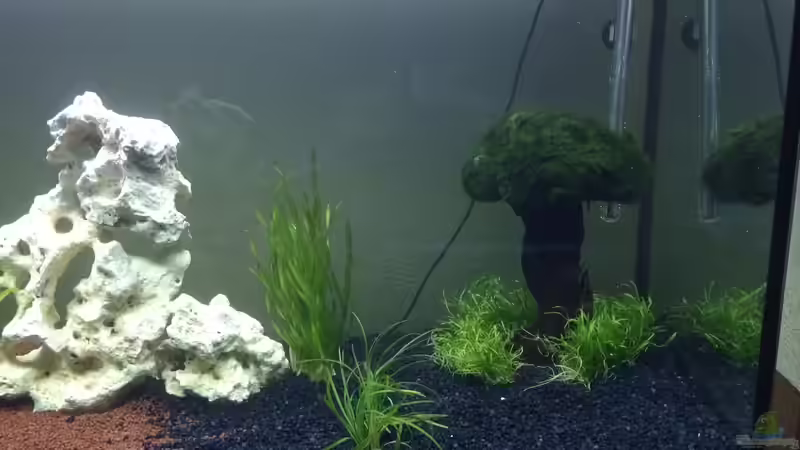 Dekoration im Aquarium moderne Unterwasserwelt von Flipstar (3)