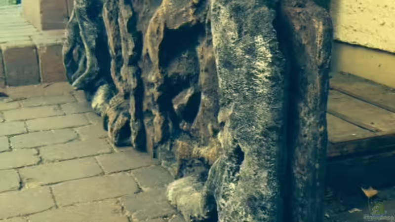 Dekoration im Aquarium My American( nur noch Beispiel) von Basti@ (12)