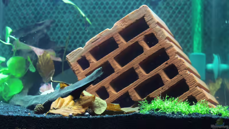 Dekoration im Aquarium My second little Nano von SouthAmerica (8)