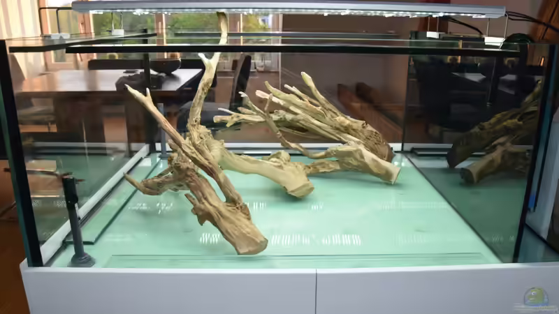 Dekoration im Aquarium Myanmar _Gesellschaft von Tavira2000 (14)