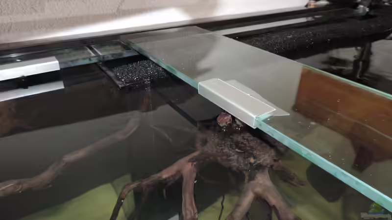 Dekoration im Aquarium Namenlos von Fichte (71)