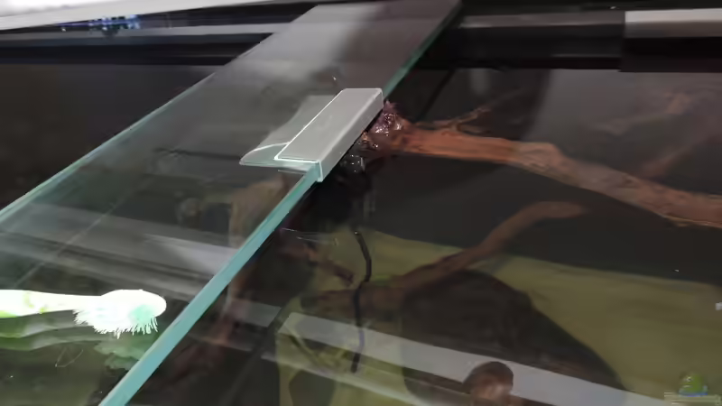 Dekoration im Aquarium Namenlos von Fichte (72)