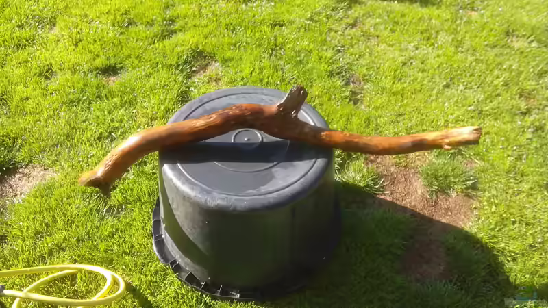 Dekoration im Aquarium Namenlos von Fichte (77)