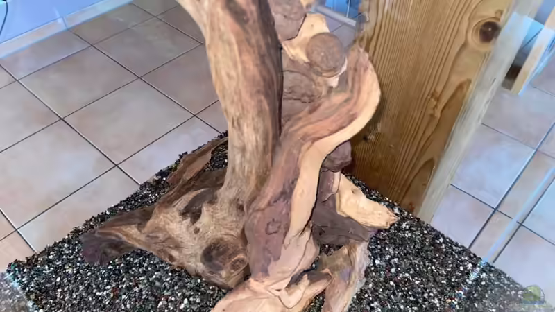 Dekoration im Aquarium Nano 1 von Vera_K. . (11)