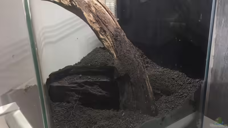 Dekoration im Aquarium Nano Cube von Zohan (12)