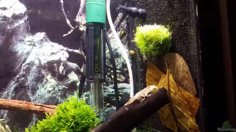 Dekoration im Aquarium Nano Eigenbau von Lucky3310 (22)