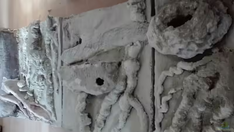 Dekoration im Aquarium Nanozonas von Lance Hardwood (44)