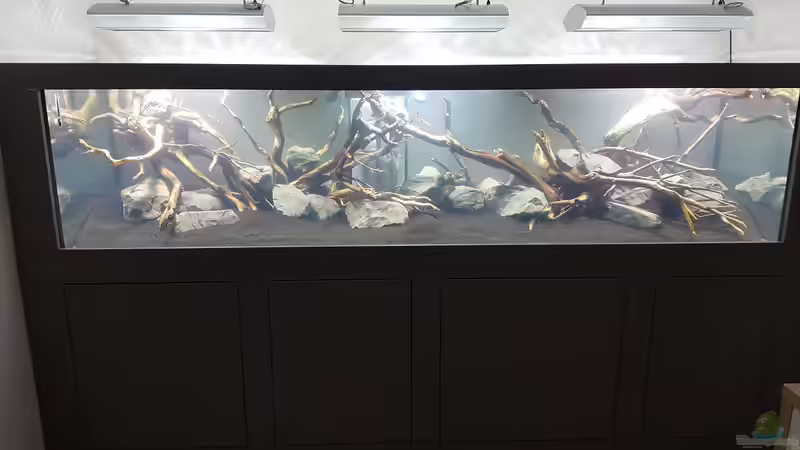 Dekoration im Aquarium Naturaquarium Aquascape von Sven Oelze (28)