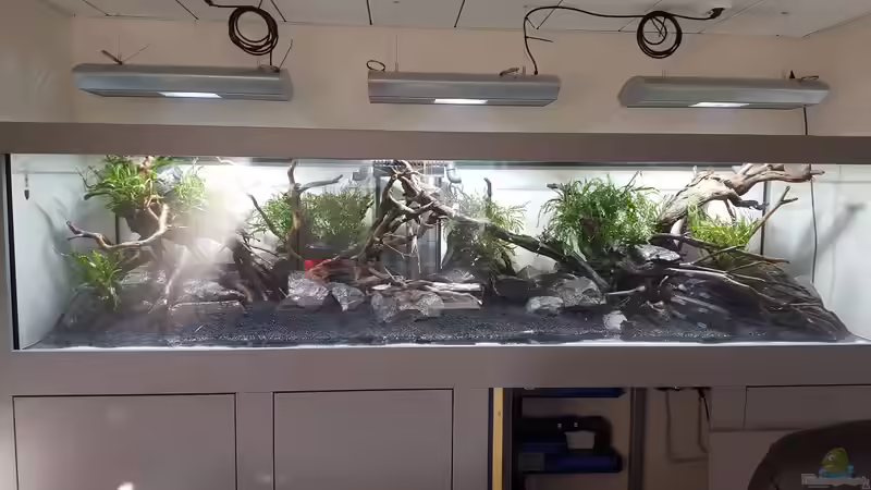 Dekoration im Aquarium Naturaquarium Aquascape von Sven Oelze (29)