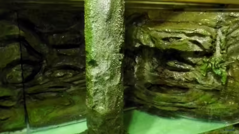 Dekoration im Aquarium New Underwater World von snooze (62)